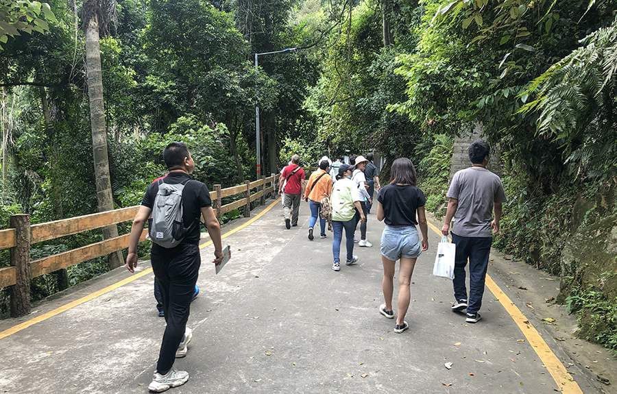 思思99热久久精品在线6