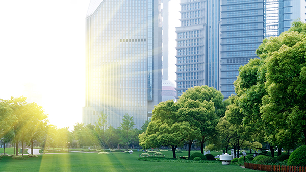 思思99热久久精品在线6